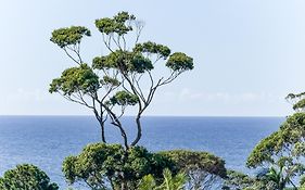 Mollymook Motel