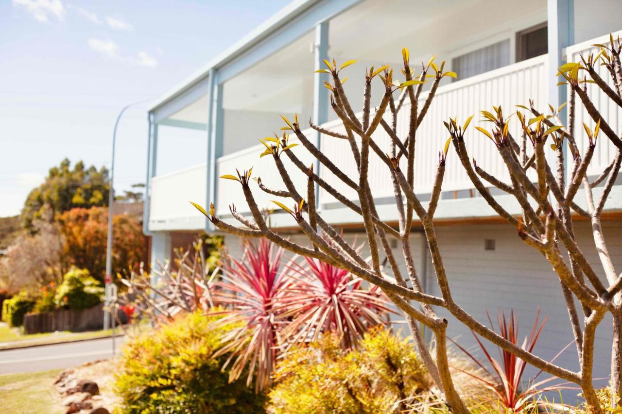 Mollymook Motel Buitenkant foto